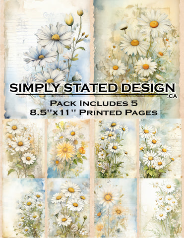 Daisies 8.5 x 11 Paper Pack