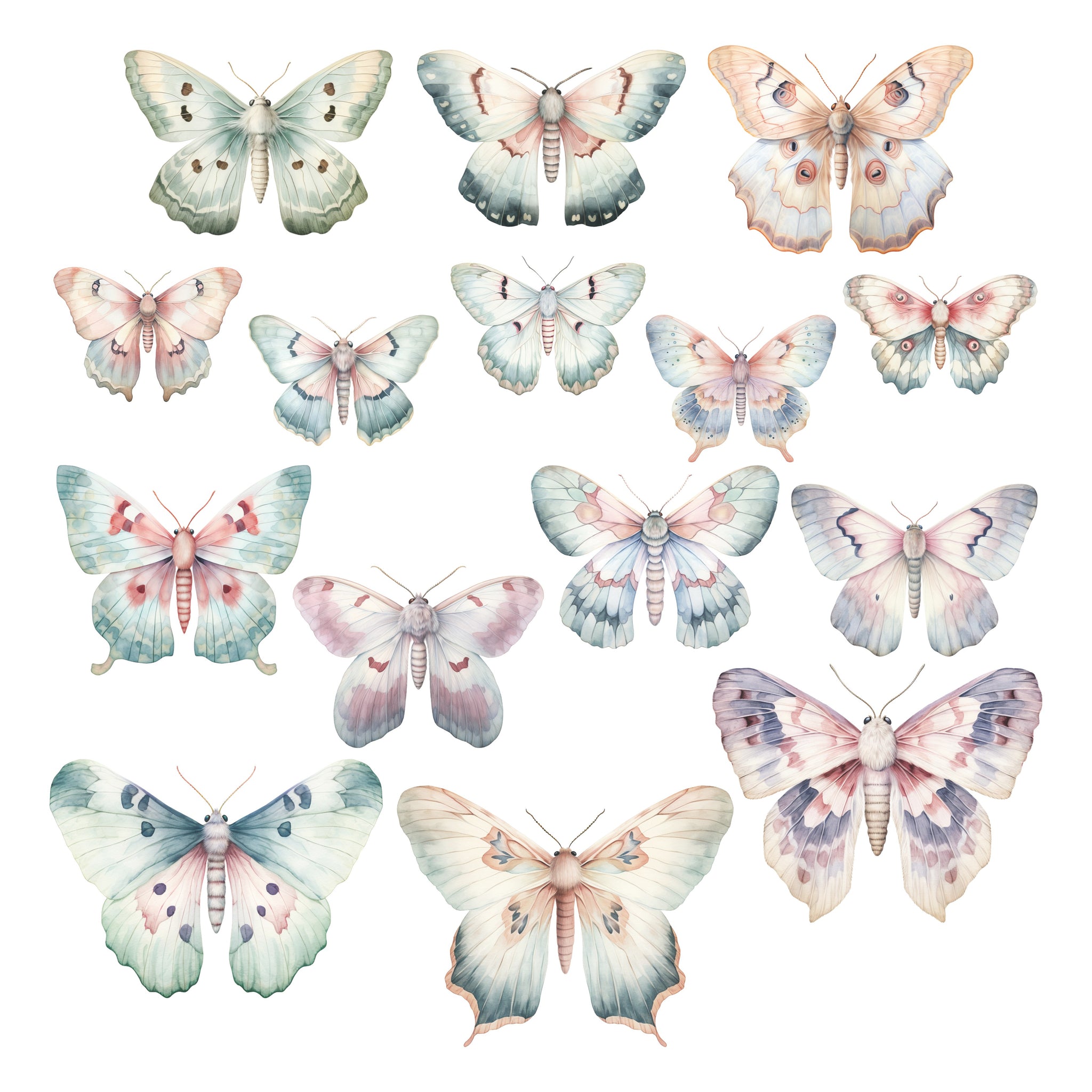 A Few of my Favorite Things Butterflies Ephemera