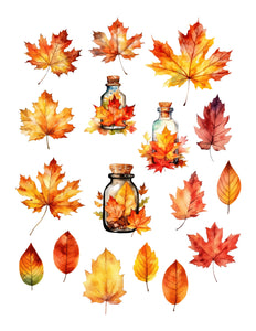 Autumn Leaves Ephemera