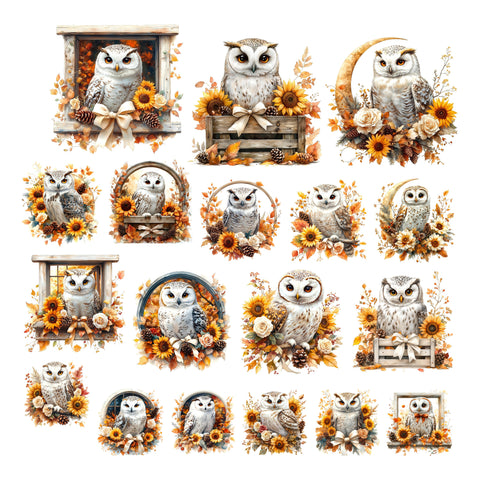 Autumn Owl Ephemera Pack