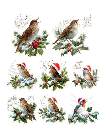 Christmas Music Birds Ephemera