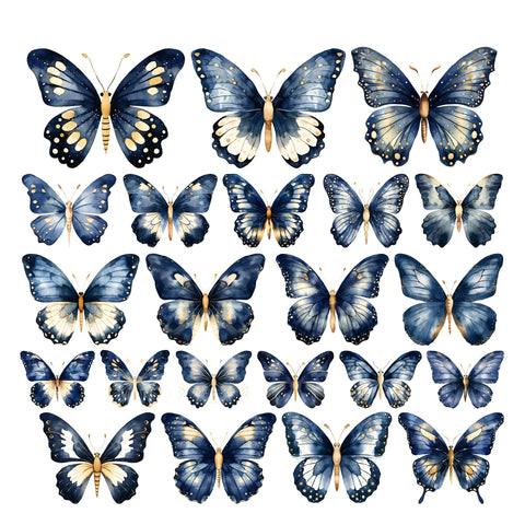 Midnight Majesty Butterflies Ephemera