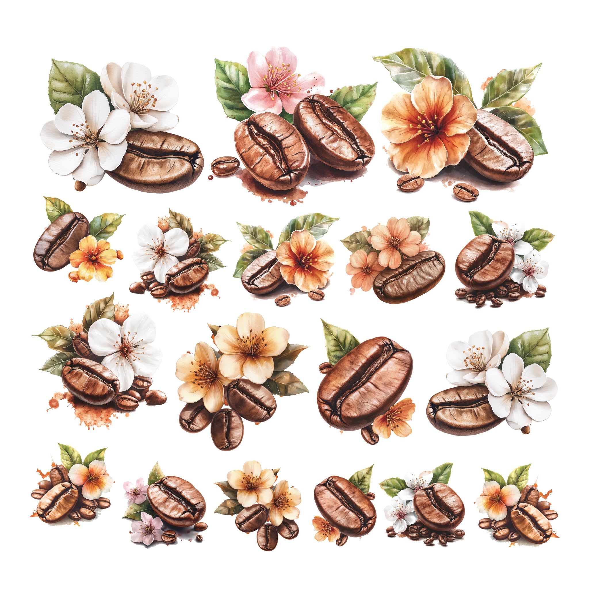 Coffee Beans Ephemera