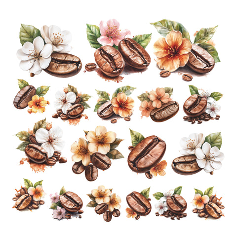 Coffee Beans Ephemera