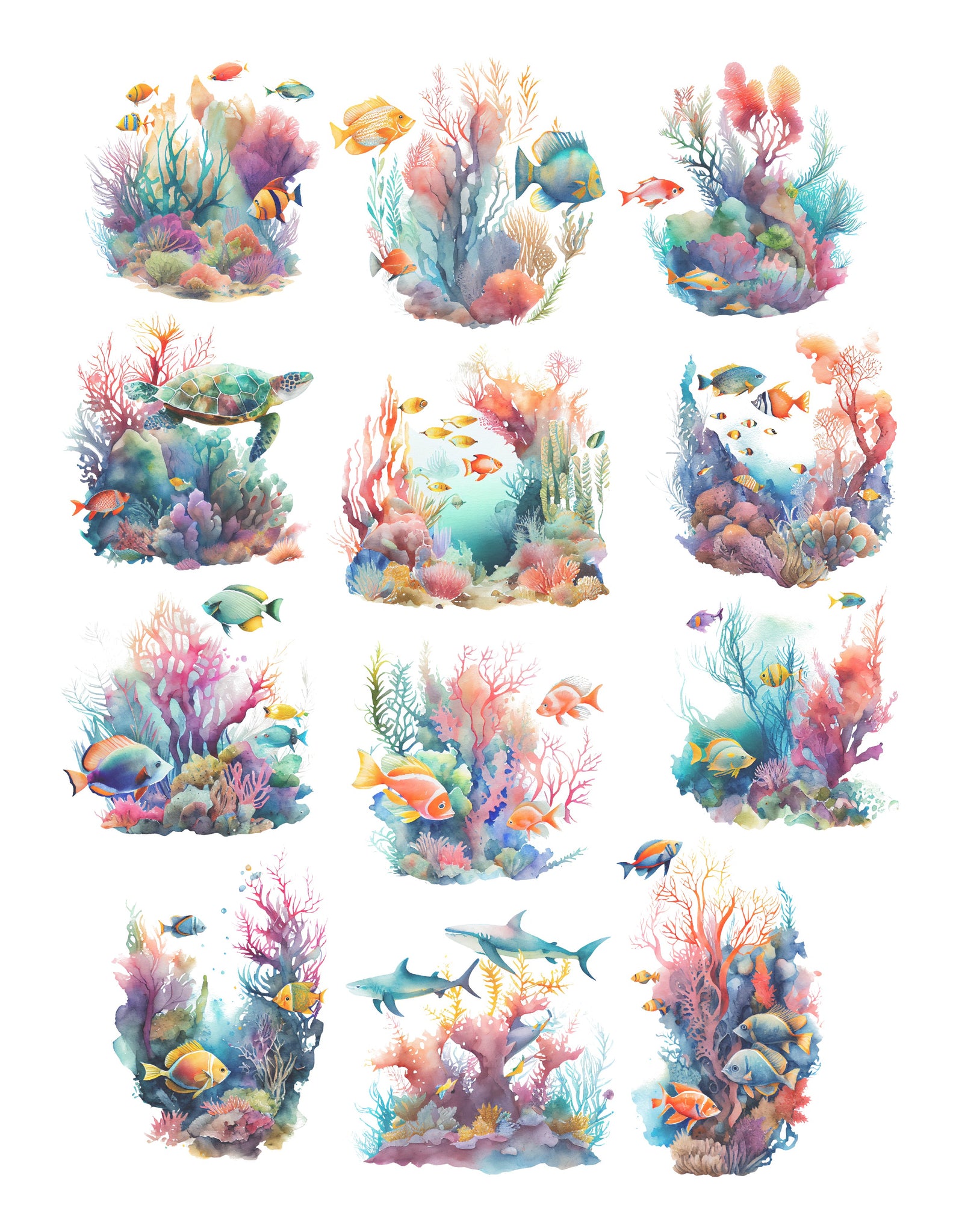 Coral Reef Ephemera