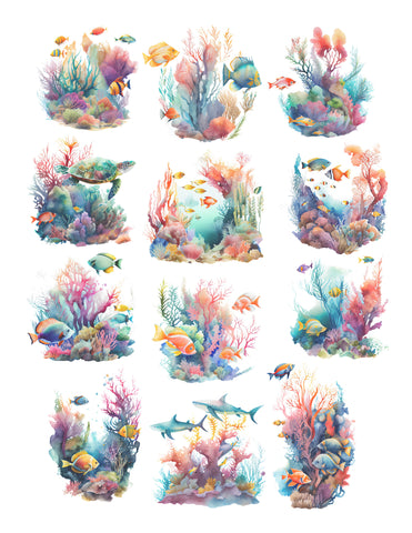 Coral Reef Ephemera