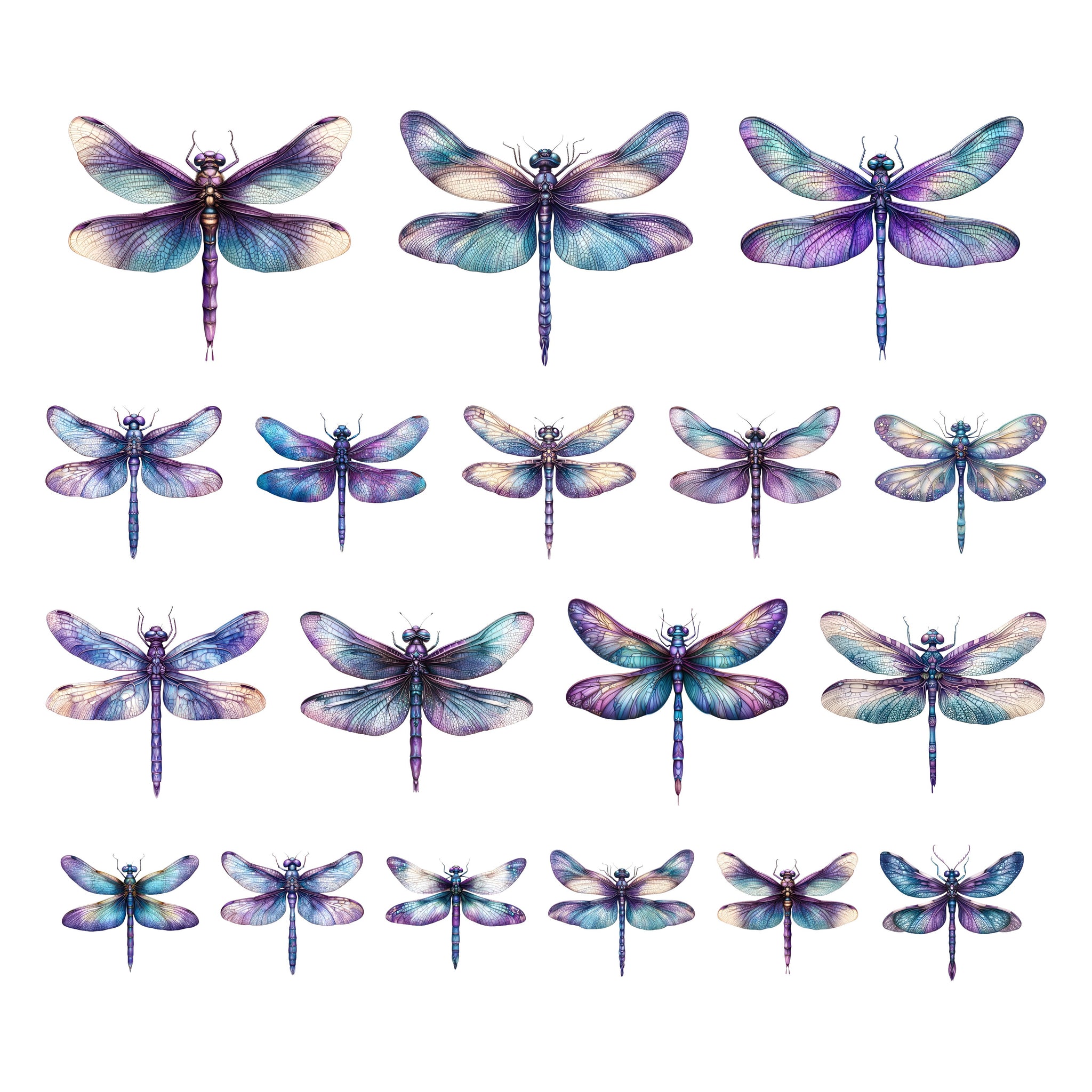 Amethyst Garden Dragonflies Ephemera
