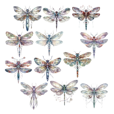 Dragonflies Ephemera Pack