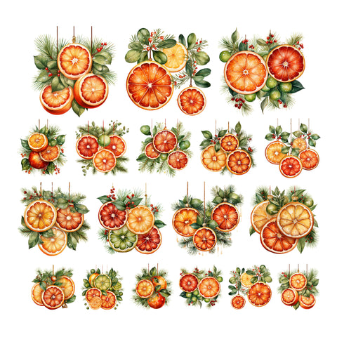 Christmas Citrus Ephemera