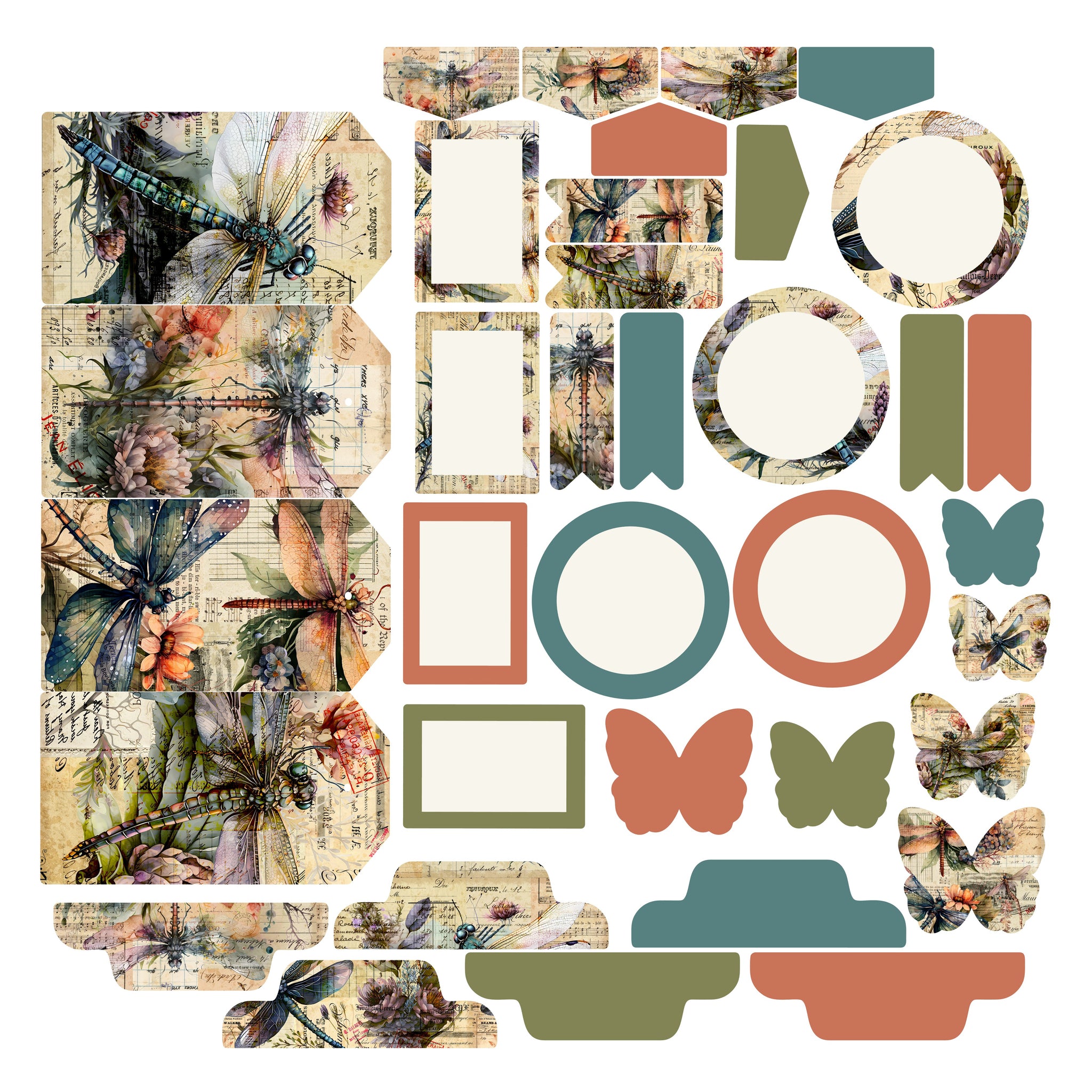 Dragonflies Essentials Ephemera