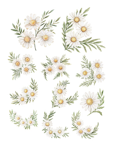 Denim & Daisies Floral Ephemera