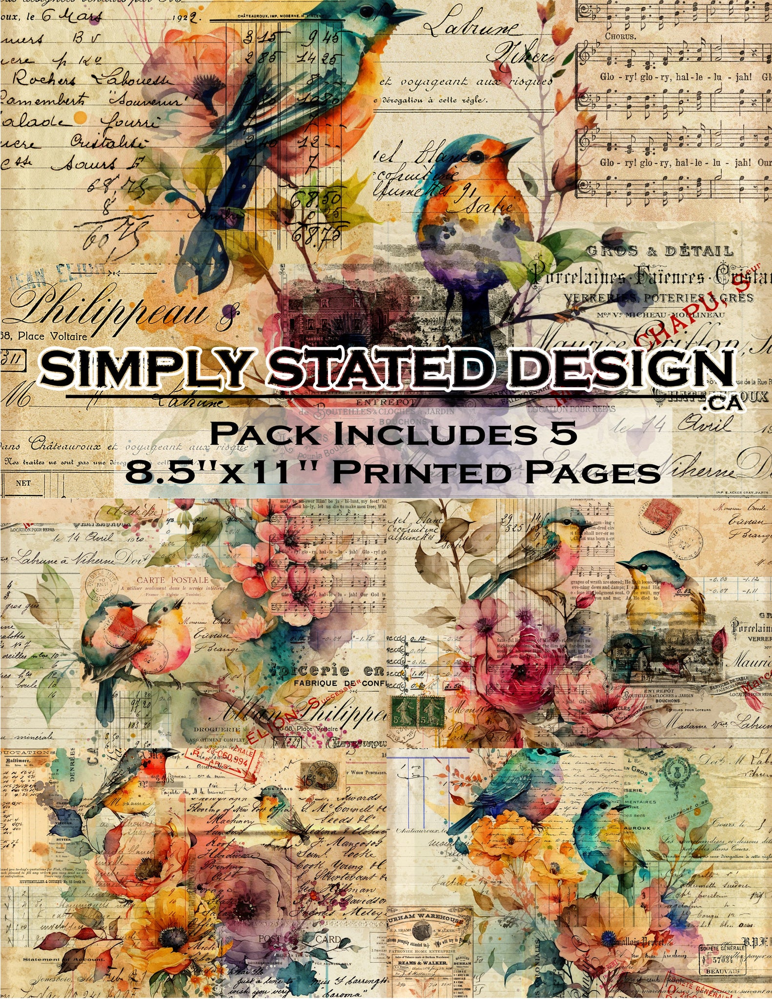 Birds 8.5 x 11 Paper Pack