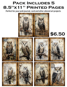 White Owls 8.5 x 11 Paper Pack