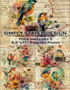 Birds 8.5 x 11 Paper Pack