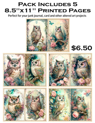 Cute Owls 8.5 x 11 Paper Pack