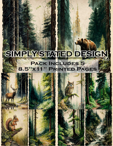 Forest Scenes 8.5 x 11 Paper Pack