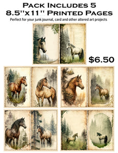 Horses 8.5 x 11 Paper Pack