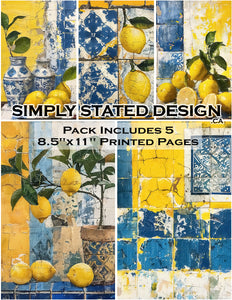 Lisbon Lemons 8.5 x 11 Paper Pack