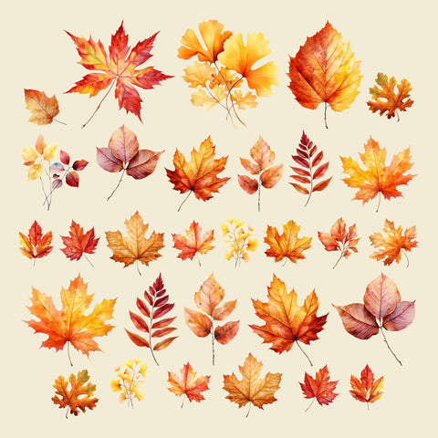 Autumn Splendor Leaves Ephemera