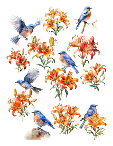 Lilies & Birds Ephemera