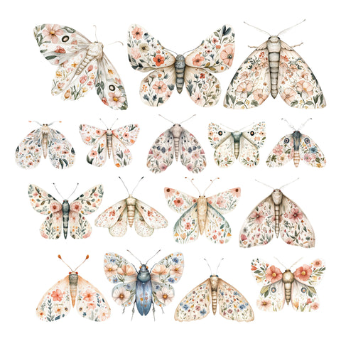 Vintage Chic Moths Ephemera