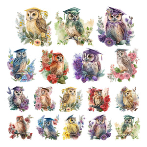 Colorful Commencement Owls Ephemera
