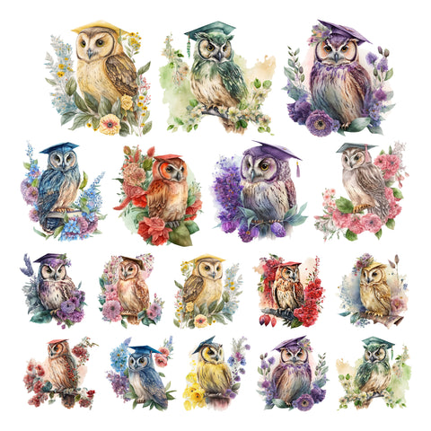 Colorful Commencement Owls Ephemera