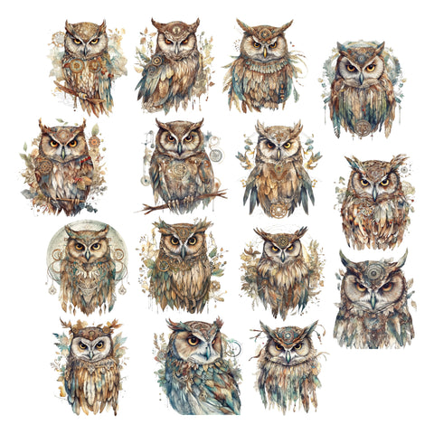 Owls Ephemera Pack