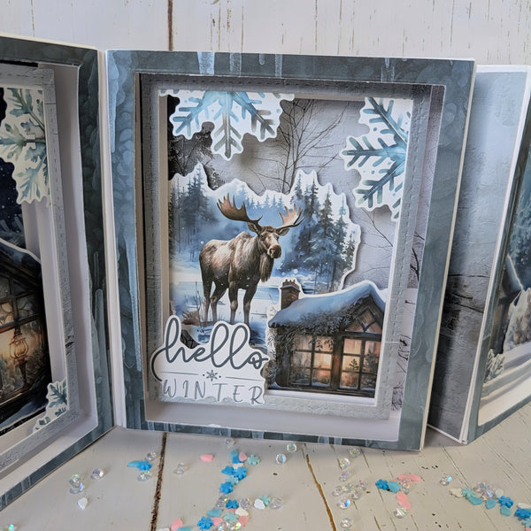 Forever Frost Diorama Class Kit - Video Only