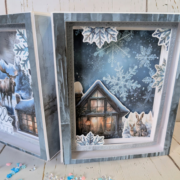 Forever Frost Diorama Class Kit - Video Only