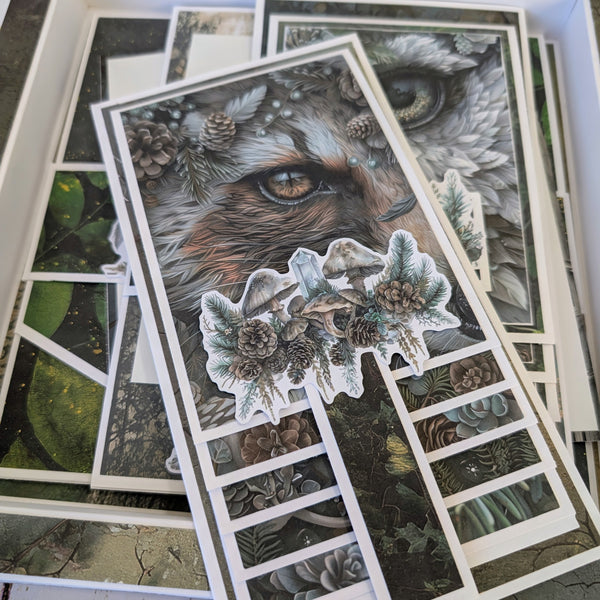 Mystic Forest Memory Box Class Kit