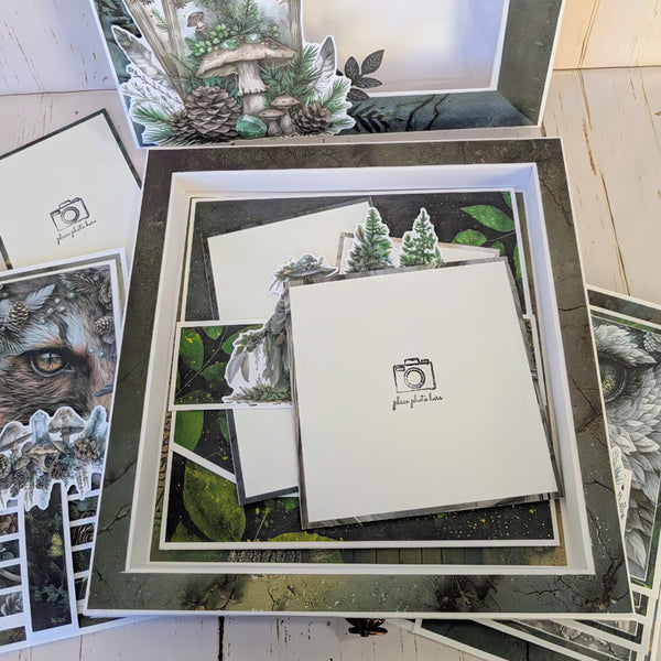 Mystic Forest Memory Box Class Kit