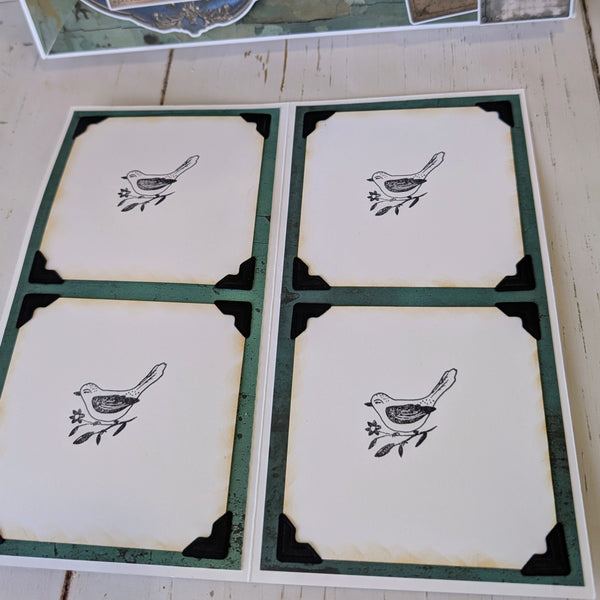 Eclectic Aviary Memory Box Class Kit