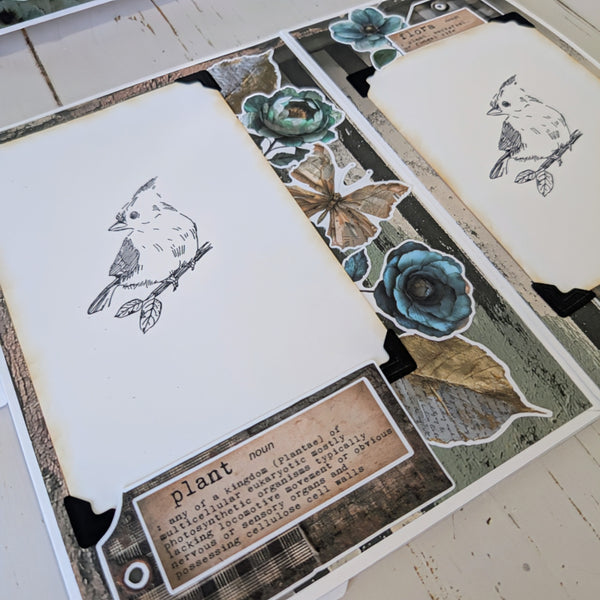 Eclectic Aviary Memory Box Class Kit