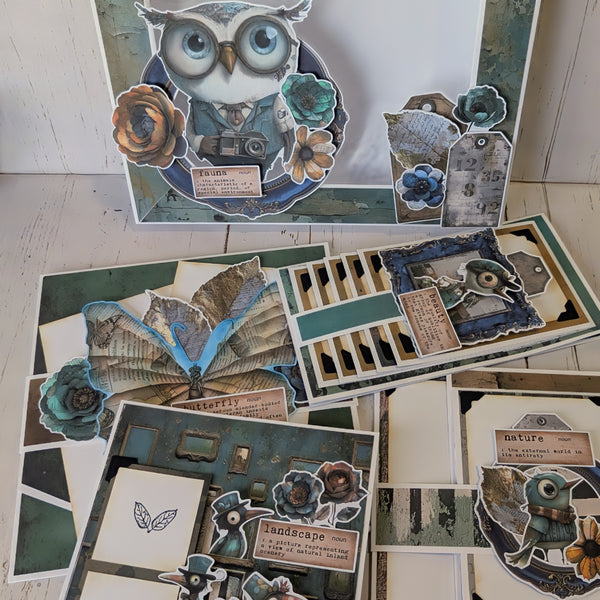 Eclectic Aviary Memory Box Class Kit