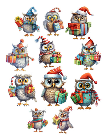 Quirky Owls Ephemera