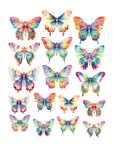Rainbow Butterflies Ephemera