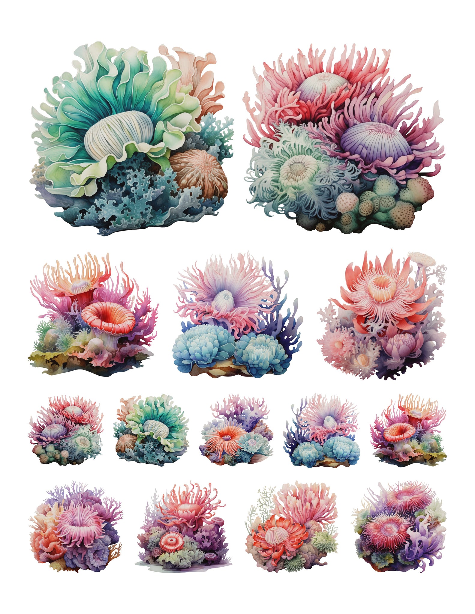 Sea Anemone Ephemera