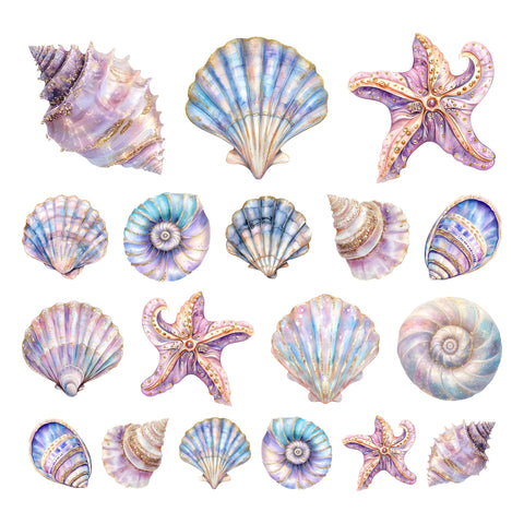 Sea Shells Ephemera