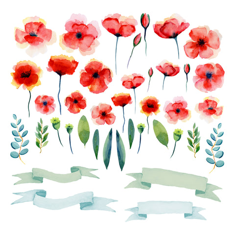 Watercolor Poppies Singles Ephemera