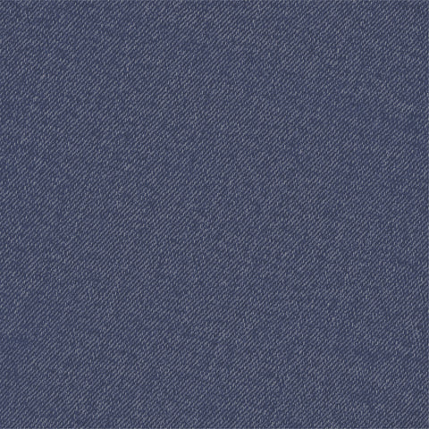 Denim & Daisies Solid Paper 1