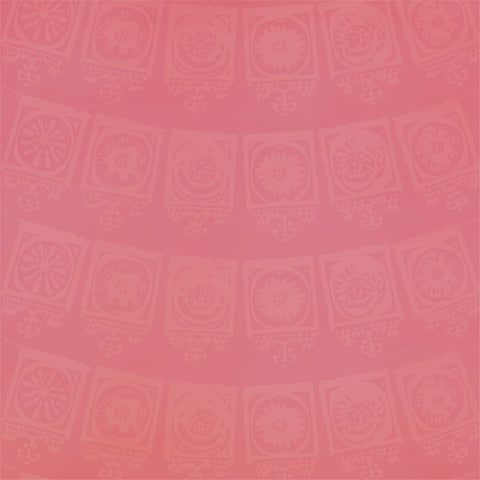 Less Siesta More Fiesta Solid Paper 1