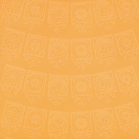 Less Siesta More Fiesta Solid Paper 2