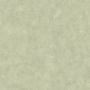 Golden Evergreen Solid Paper 3