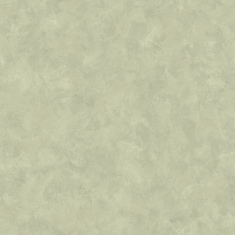 Golden Evergreen Solid Paper 3