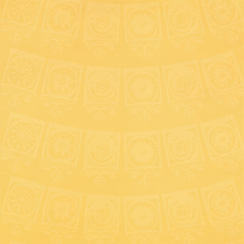 Less Siesta More Fiesta Solid Paper 3