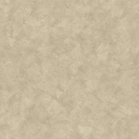 Golden Evergreen Solid Paper 4