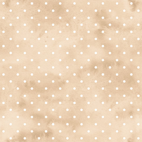 True North Solid Paper 5