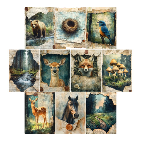 Wildlife Journal Project Base