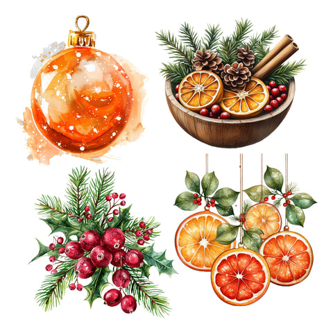 Christmas Citrus XL Ephemera